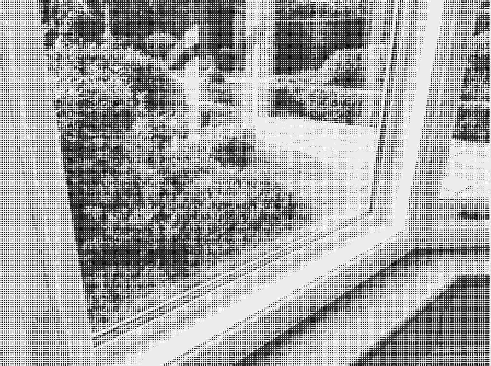 Blick durch eine Fensterscheibe auf Pflanzen im Garten, als graues Punktraster (Beispielbild)